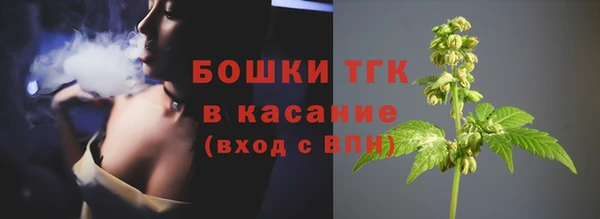 тгк Дмитровск
