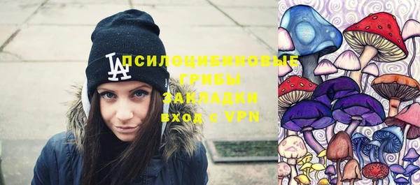 тгк Дмитровск