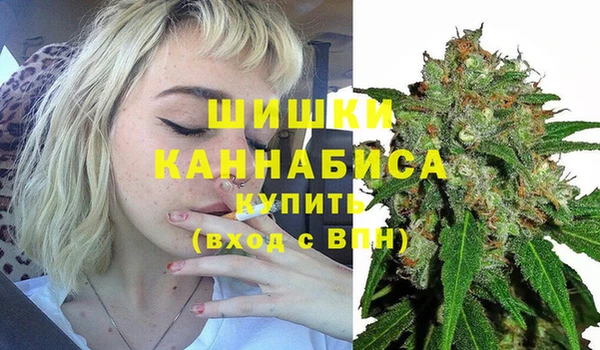 тгк Дмитровск